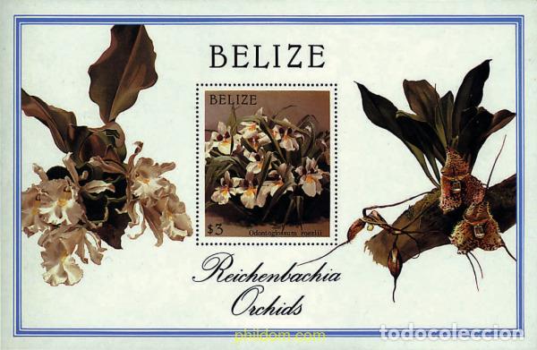 Sellos: 294627 MNH BELIZE 1987 ORQUIDEAS - Foto 1