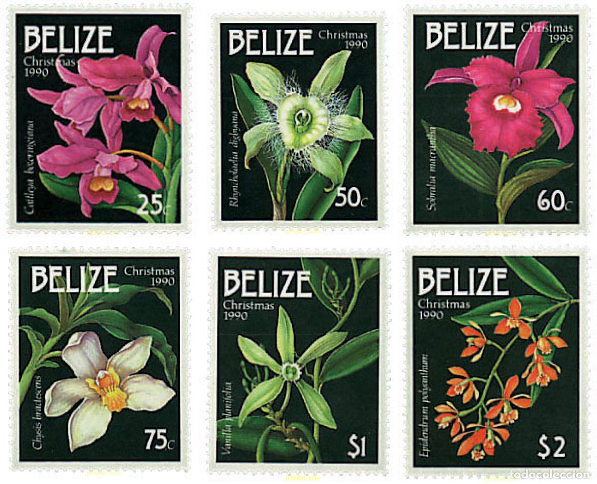Sellos: 81205 MNH BELIZE 1990 NAVIDAD. ORQUIDEAS