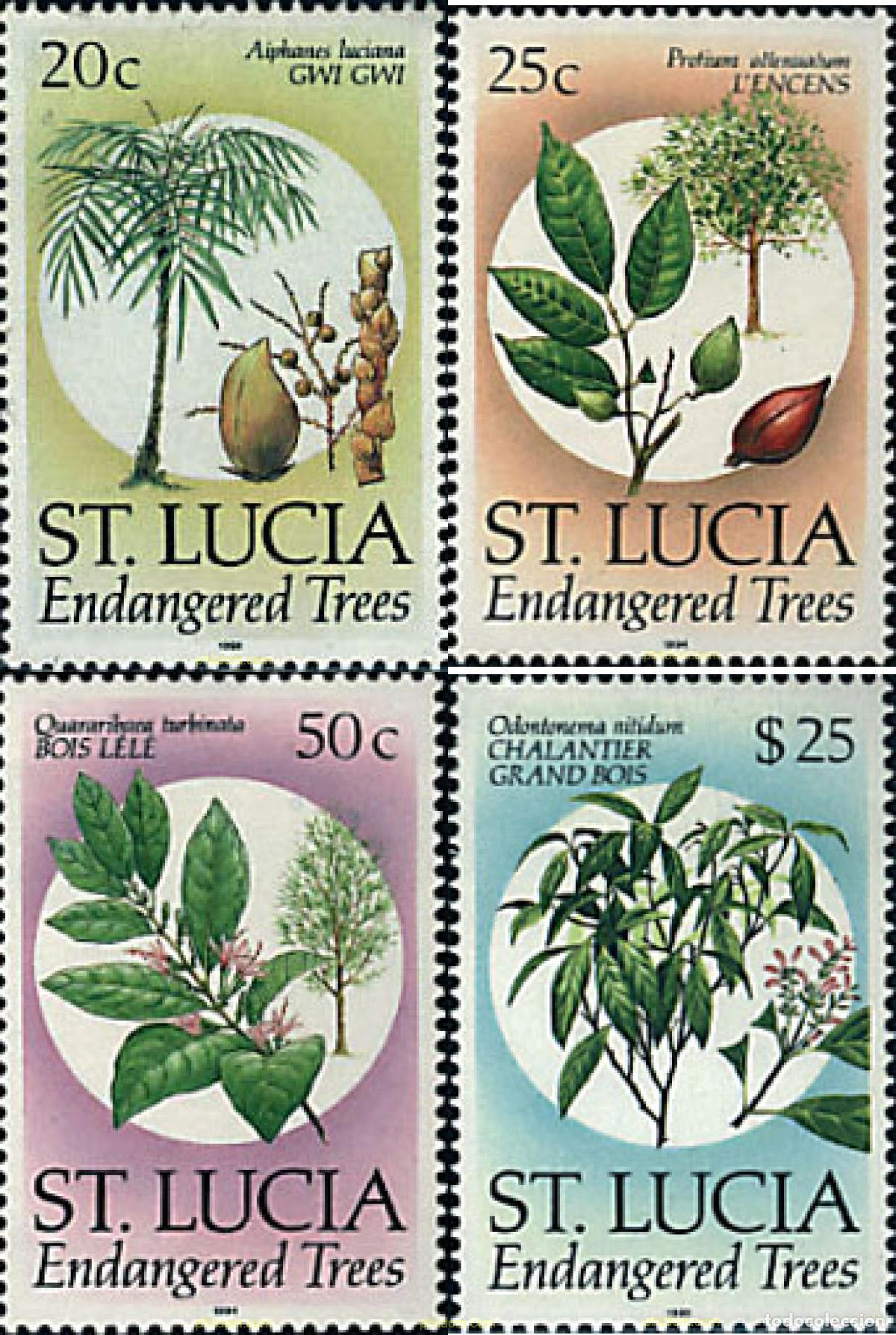 Sellos: 93273 MNH SANTA LUCIA 1990 ESPECIES VEGETALES EN PELIGRO