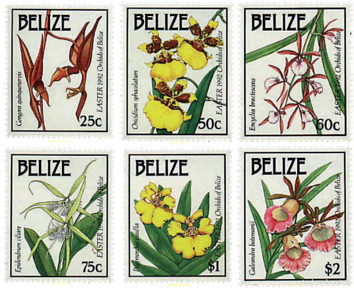 Sellos: 81220 MNH BELIZE 1992 ORQUIDEAS - Foto 1