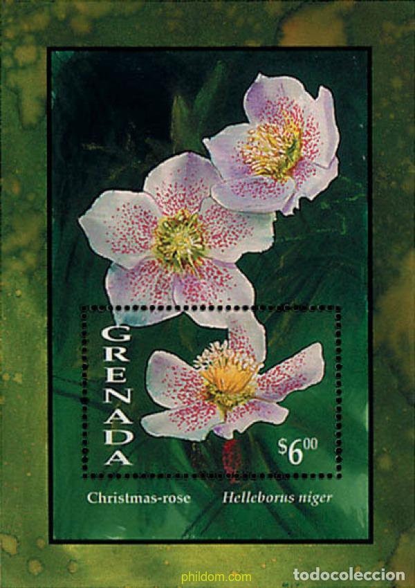 Sellos: 319394 MNH GRANADA 1993 FLORES - Foto 1