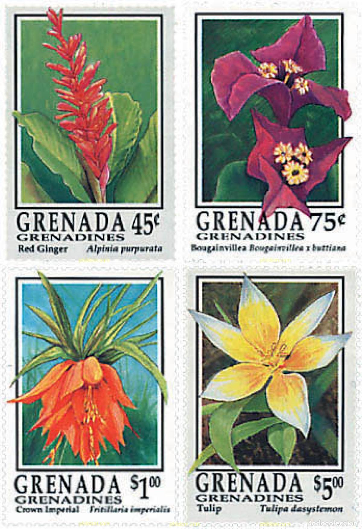 Sellos: 320213 MNH GRANADA GRANADINAS 1993 FLORES