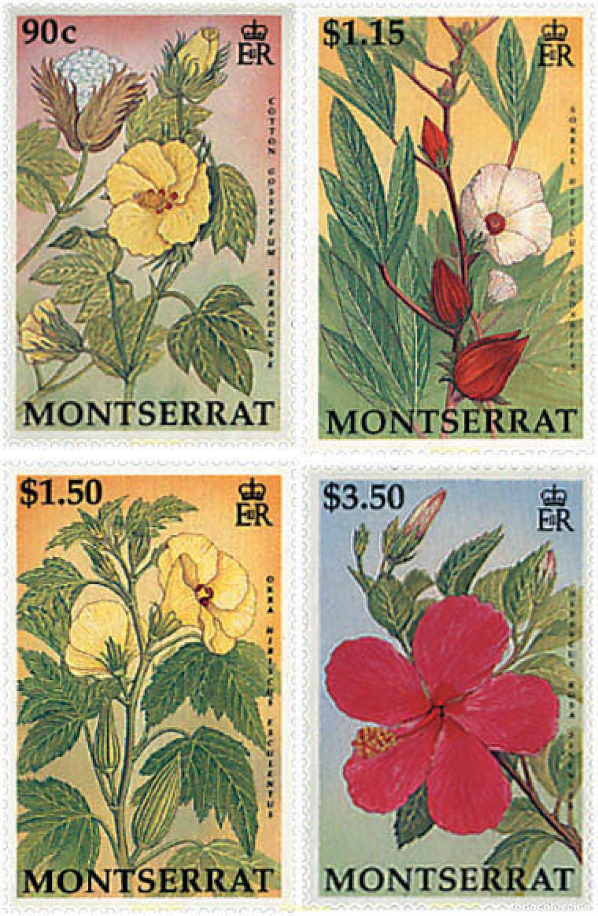 Sellos: 95257 MNH MONTSERRAT 1994 FLORES - Foto 1