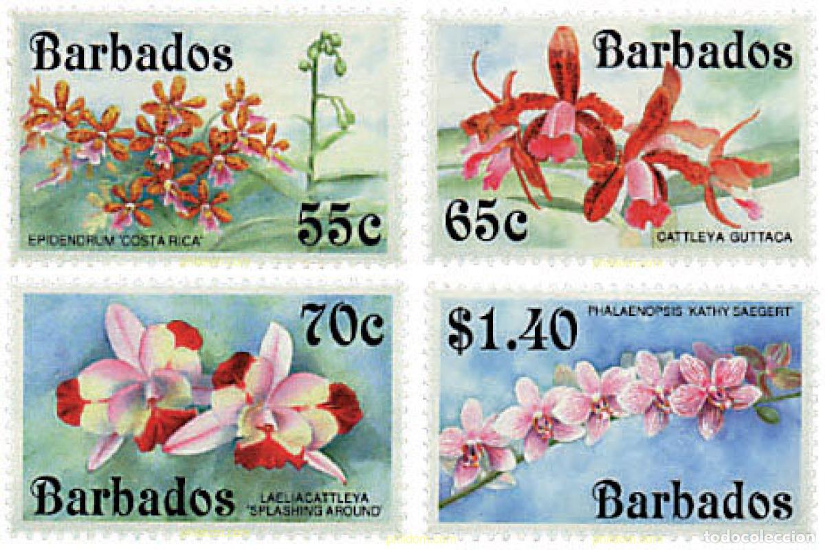 Sellos: 80932 MNH BARBADOS 1992 ORQUIDEAS - Foto 1