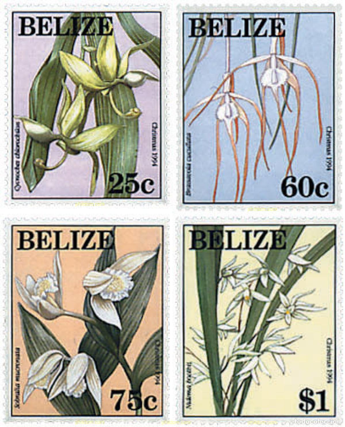 Sellos: 81224 MNH BELIZE 1994 ORQUIDEAS - Foto 1