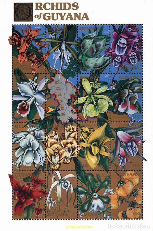 Sellos: 312189 MNH GUYANA 1990 ORQUIDEAS DE GUYANA - Foto 1