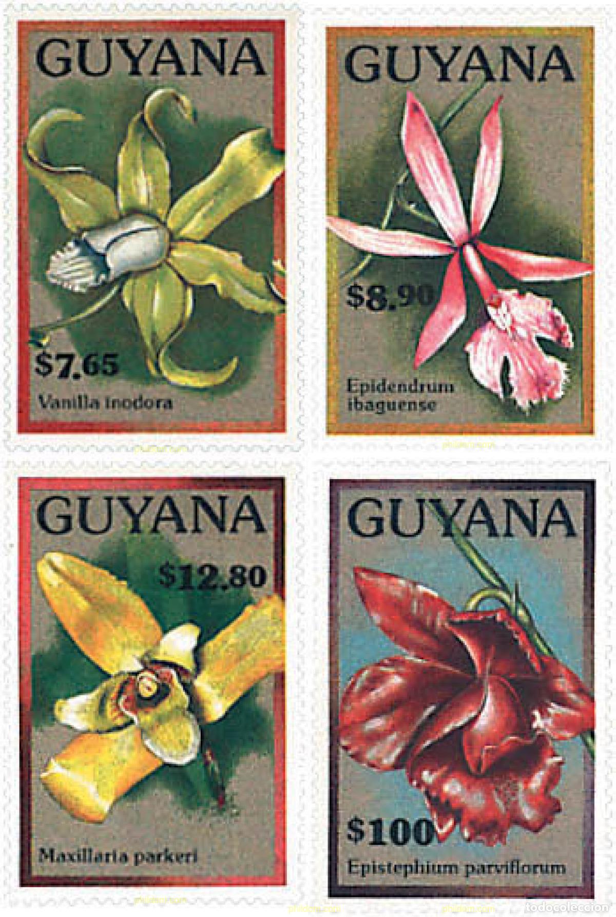 Sellos: 321371 MNH GUYANA 1990 ORQUIDEAS DE GUYANA - Foto 1