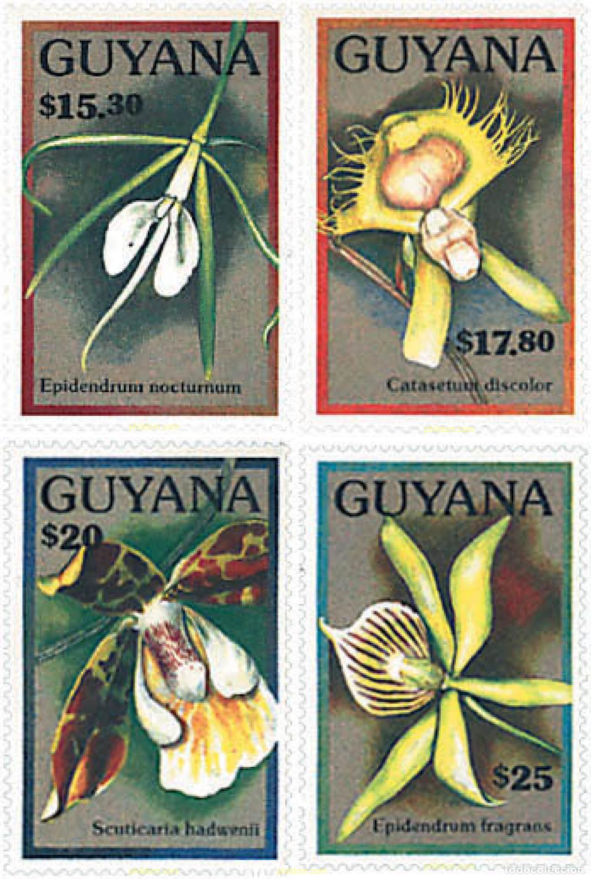 Sellos: 321375 MNH GUYANA 1990 ORQUIDEAS DE GUYANA - Foto 1