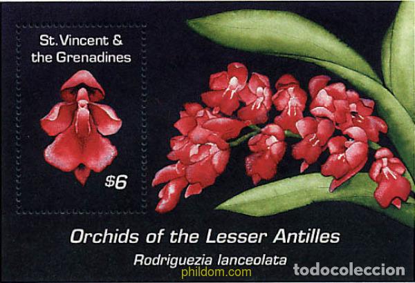 Sellos: 360407 MNH SAN VICENTE 1994 ORQUIDEAS