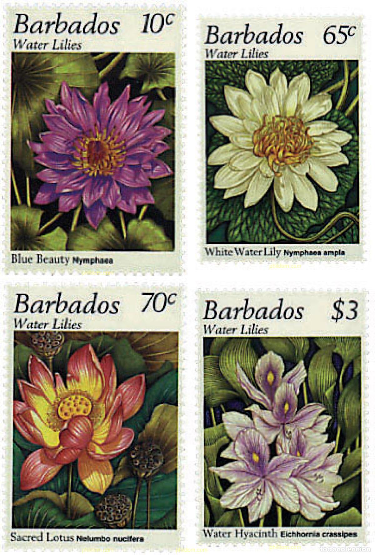 Sellos: 80945 MNH BARBADOS 1995 NENUFARES