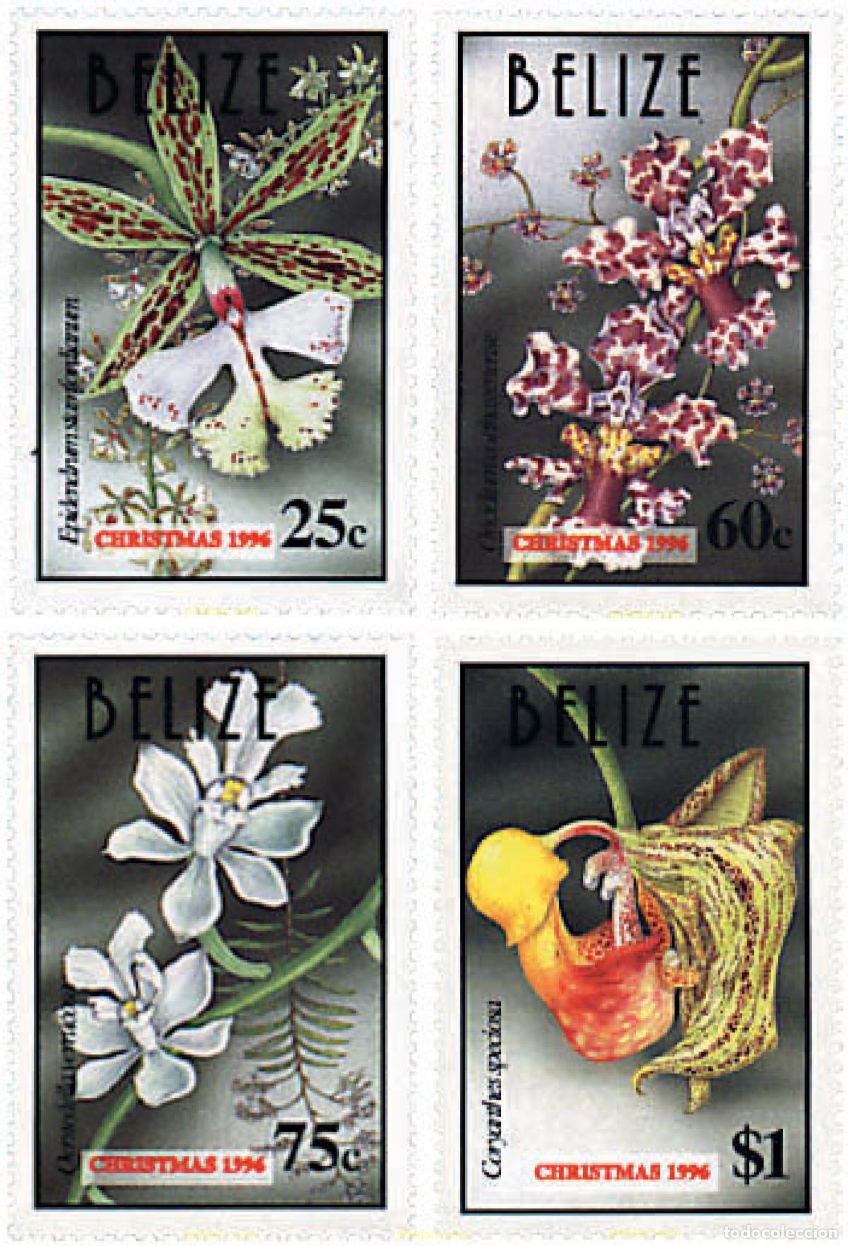 Sellos: 81229 MNH BELIZE 1996 ORQUIDEAS - Foto 1