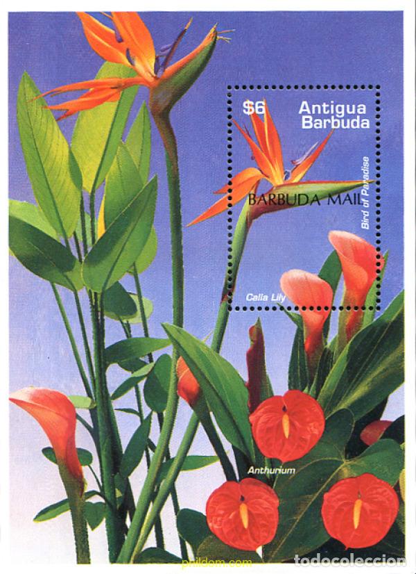Sellos: 98517 MNH BARBUDA 1997 FLORES - Foto 1