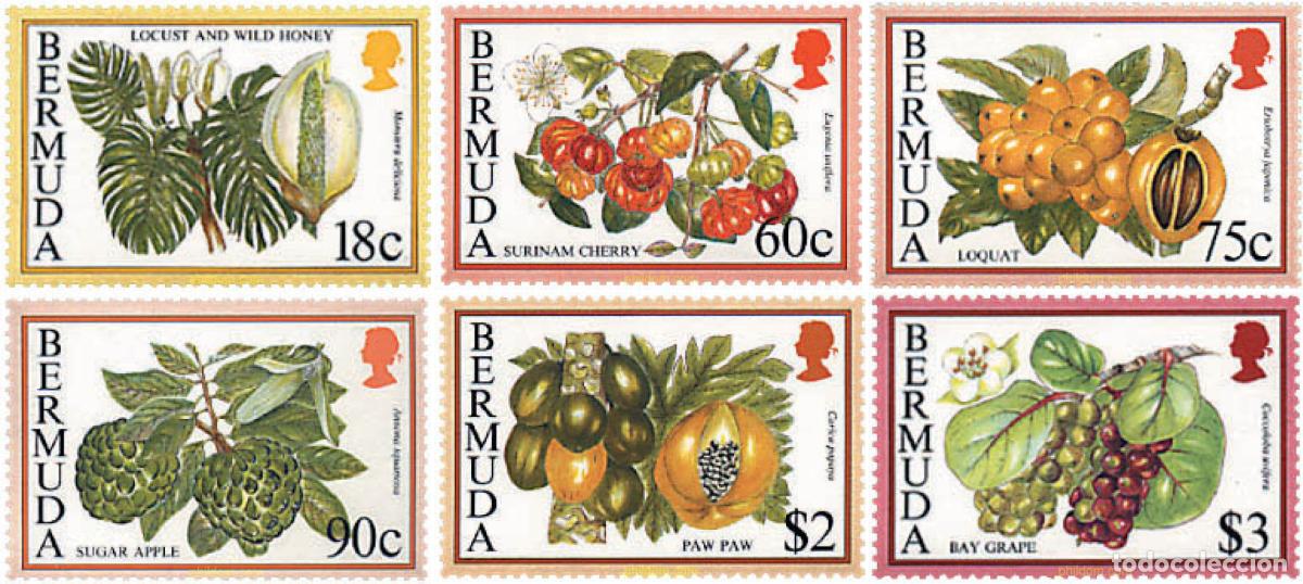 Sellos: 97743 MNH BERMUDAS 1995 FRUTAS - Foto 1