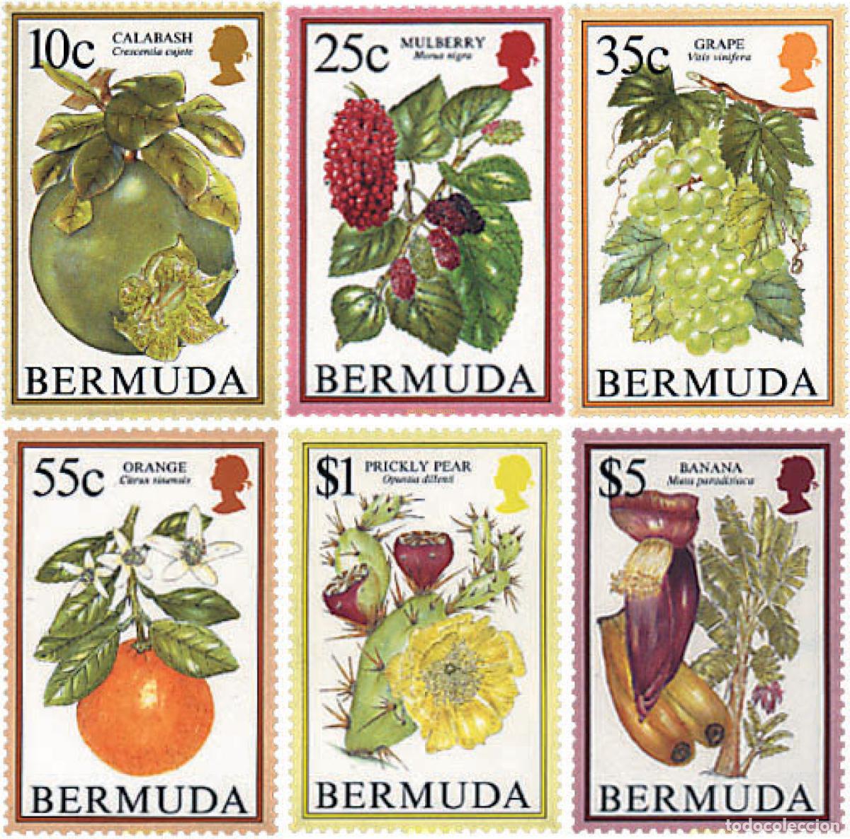 Sellos: 87620 MNH BERMUDAS 1994 FRUTAS - Foto 1