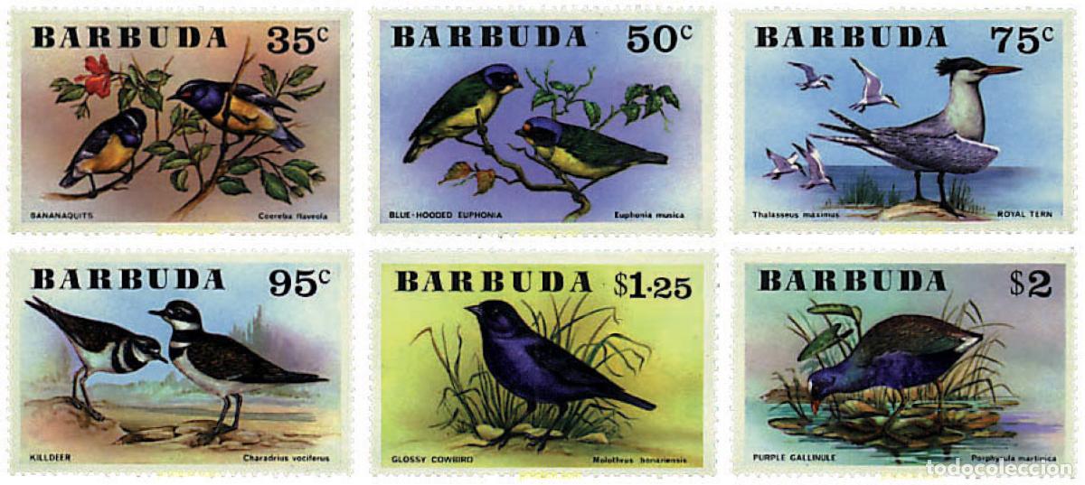 Sellos: 33269 MNH BARBUDA 1976 AVES - Foto 1