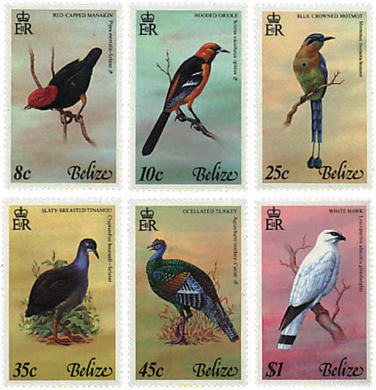 Sellos: 33275 MNH BELIZE 1977 PAJAROS DE BELIZE - Foto 1
