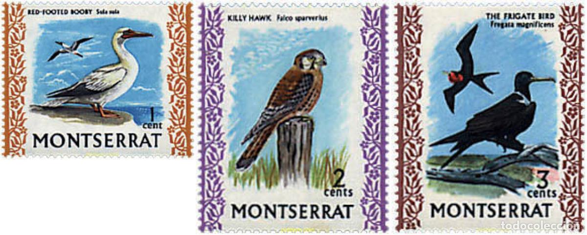 Sellos: 345550 MNH MONTSERRAT 1970 AVES