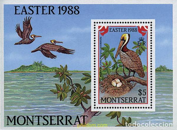 Sellos: 31696 MNH MONTSERRAT 1988 PASCUA