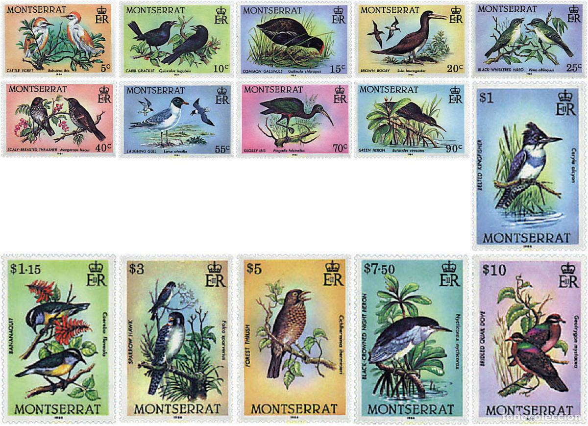 Sellos: 93517 MNH MONTSERRAT 1984 AVES