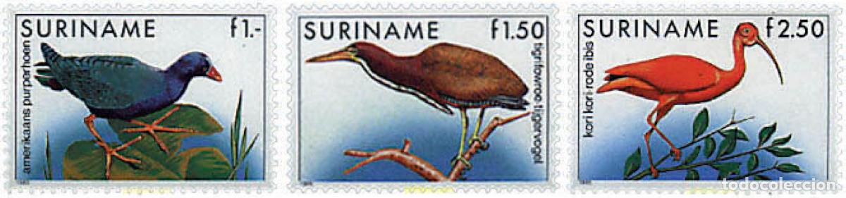 Sellos: 37014 MNH SURINAM 1985 AVES - Foto 1