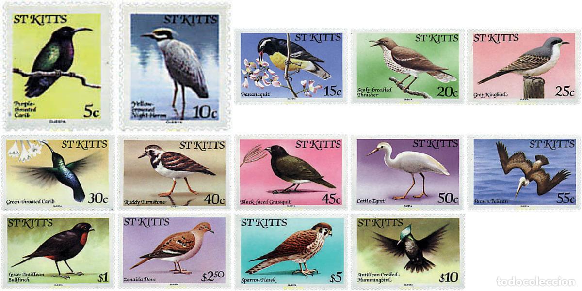 Sellos: 359399 MNH SAN KITTS 1981 AVES - Foto 1