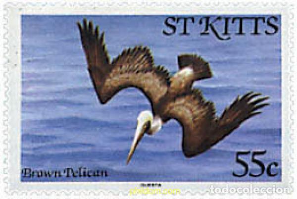 Sellos: 639356 MNH SAN KITTS 1981 AVES