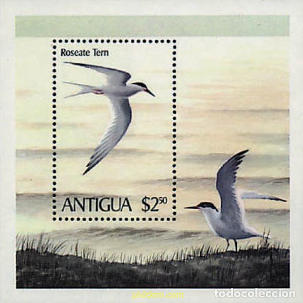 Sellos: 46702 MNH ANTIGUA 1980 FAUNA. AVES