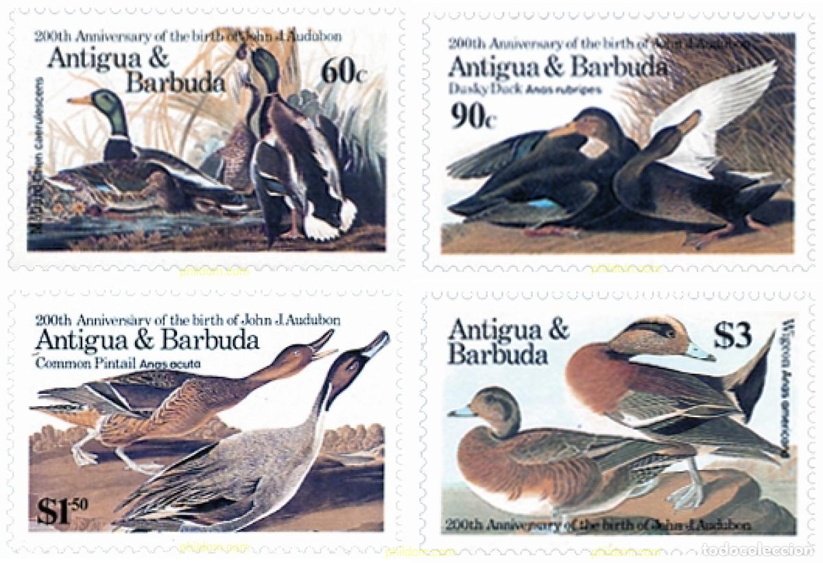Timbres: 46772 MNH ANTIGUA Y BARBUDA 1986 BICENTENARIO DEL NACIMIENTO DEL ORNITOLOGO J.J. AUDUBON