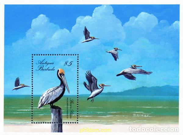 Timbres: 286458 MNH ANTIGUA Y BARBUDA 1988 AVES