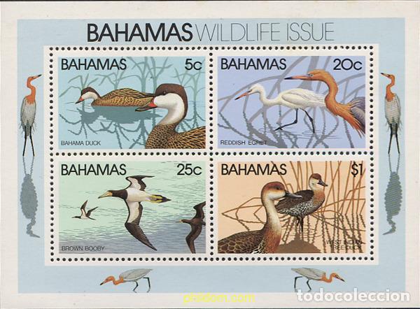 Sellos: 47449 MNH BAHAMAS 1981 AVES - Foto 1