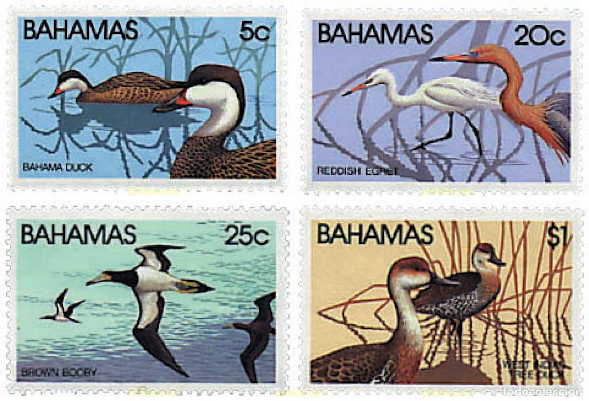 Sellos: 47448 MNH BAHAMAS 1981 AVES - Foto 1