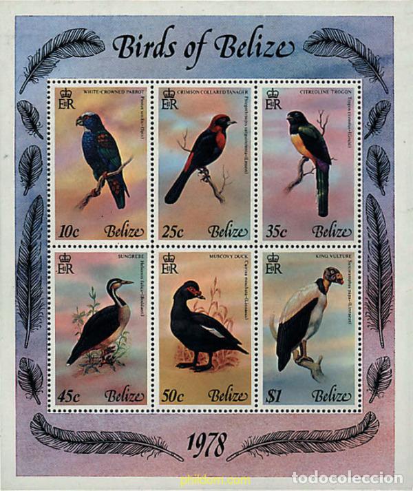 Sellos: 36155 MNH BELIZE 1978 PAJAROS DE BELIZE - Foto 1
