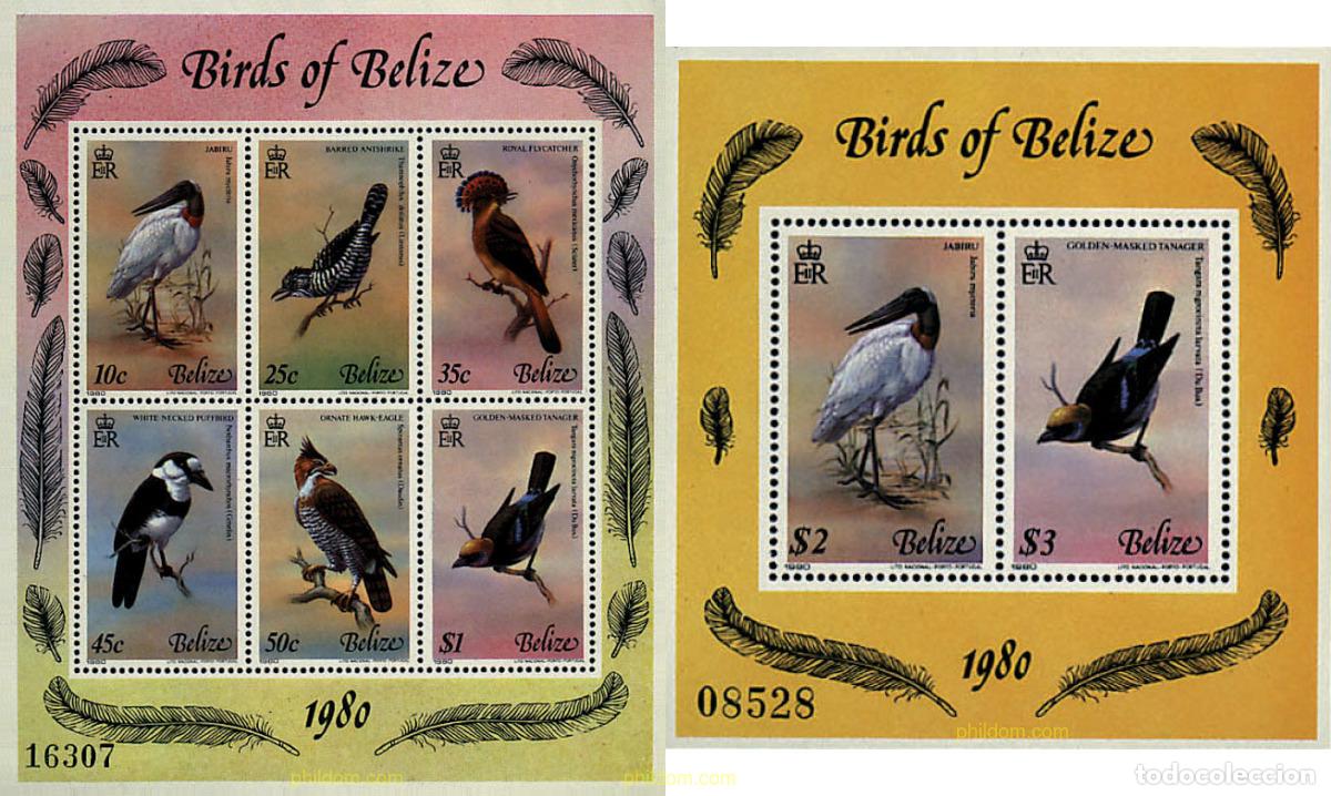 Sellos: 36157 MNH BELIZE 1980 PAJAROS DE BELIZE