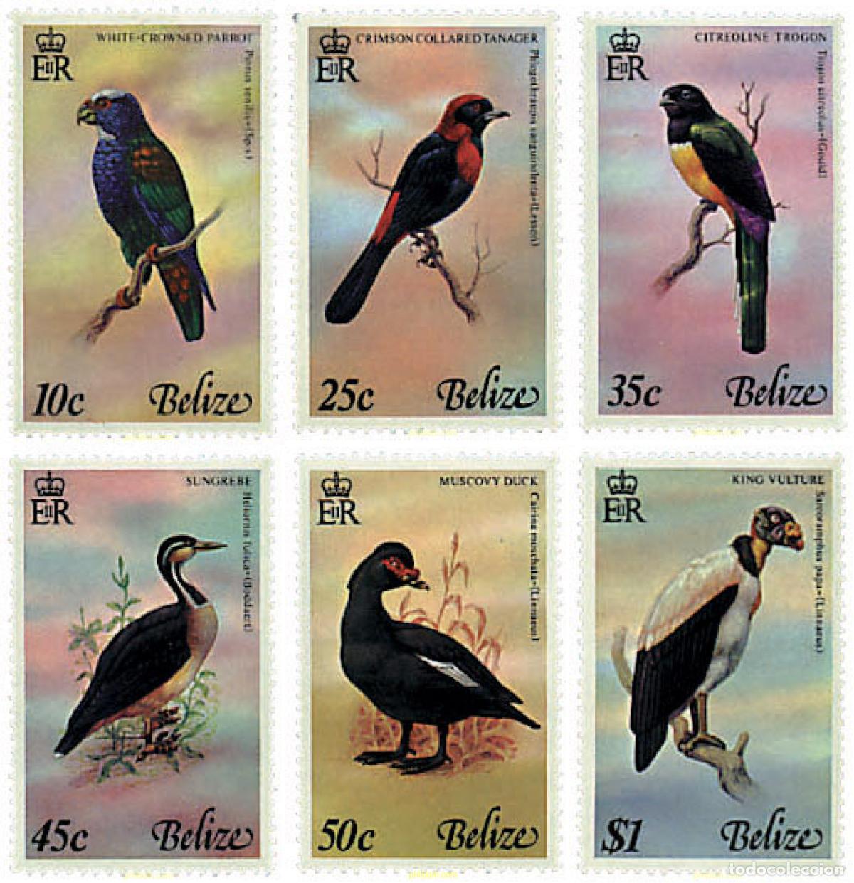 Sellos: 33276 MNH BELIZE 1978 PAJAROS DE BELIZE - Foto 1