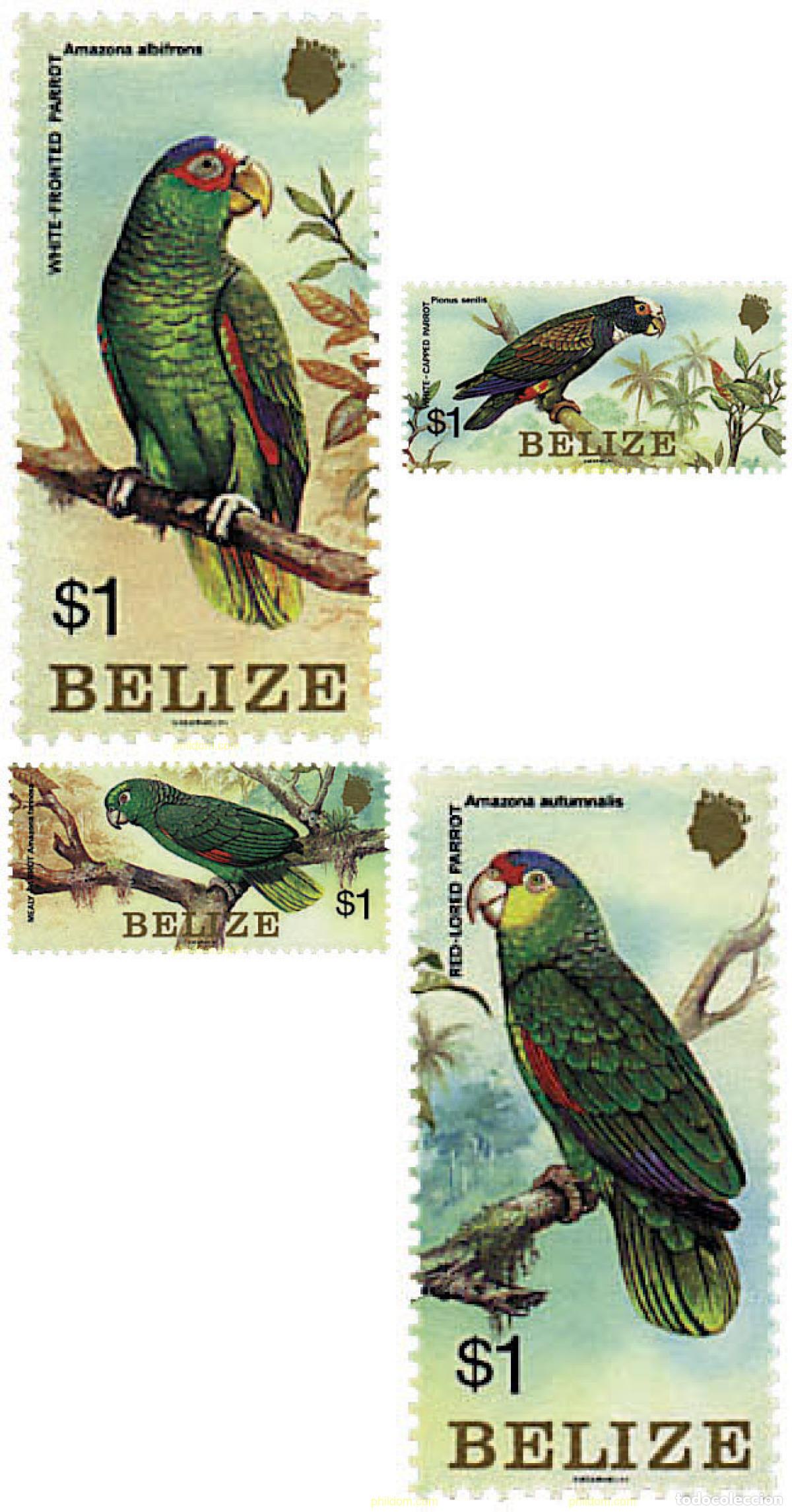 Sellos: 33283 MNH BELIZE 1984 LOROS - Foto 1