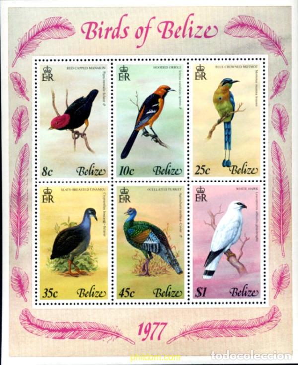 Sellos: 36153 MNH BELIZE 1977 PAJAROS DE BELIZE - Foto 1