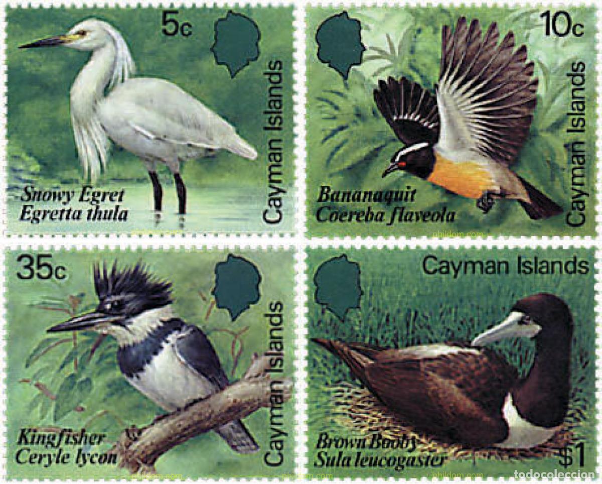 Sellos: 33333 MNH CAIMAN Islas 1984 AVES - Foto 1