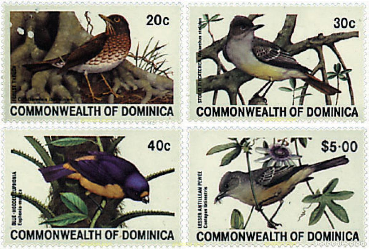 Sellos: 46356 MNH DOMINICA 1981 AVES