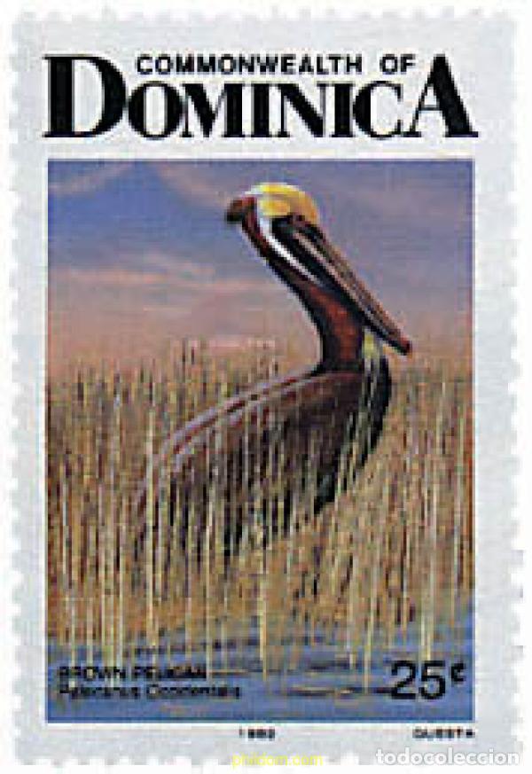 Sellos: 639201 MNH DOMINICA 1987 AVES