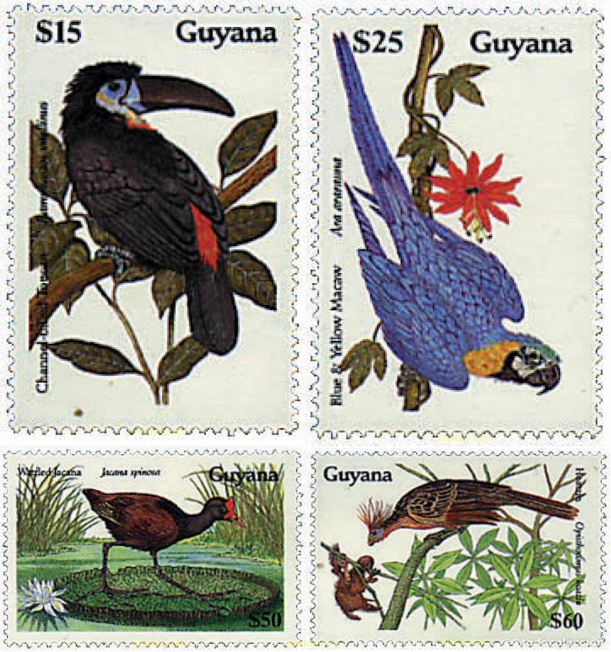 Sellos: 31974 MNH GUYANA 1990 AVES AUTOCTONAS