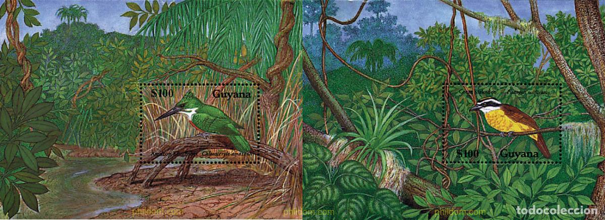 Sellos: 31975 MNH GUYANA 1990 AVES AUTOCTONAS