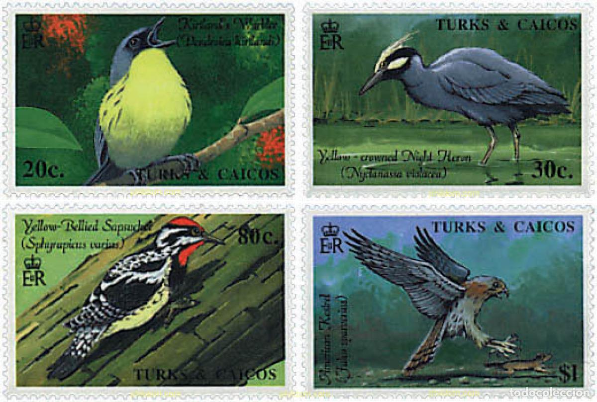 Sellos: 299290 MNH TURKS Y CAICOS 1990 AVES AUTOCTONAS