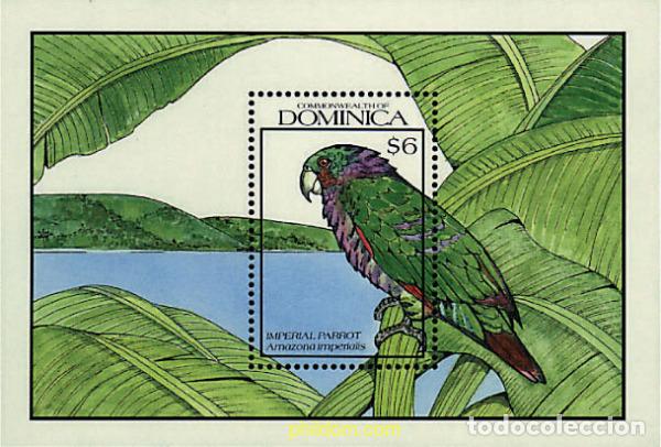 Sellos: 256539 MNH DOMINICA 1990 AVES