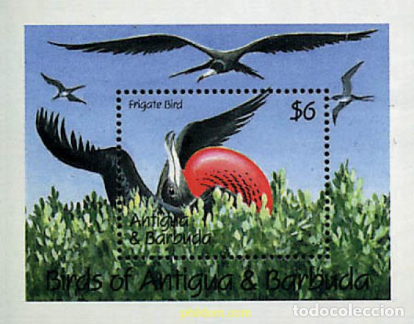 Sellos: 286534 MNH ANTIGUA Y BARBUDA 1990 AVES