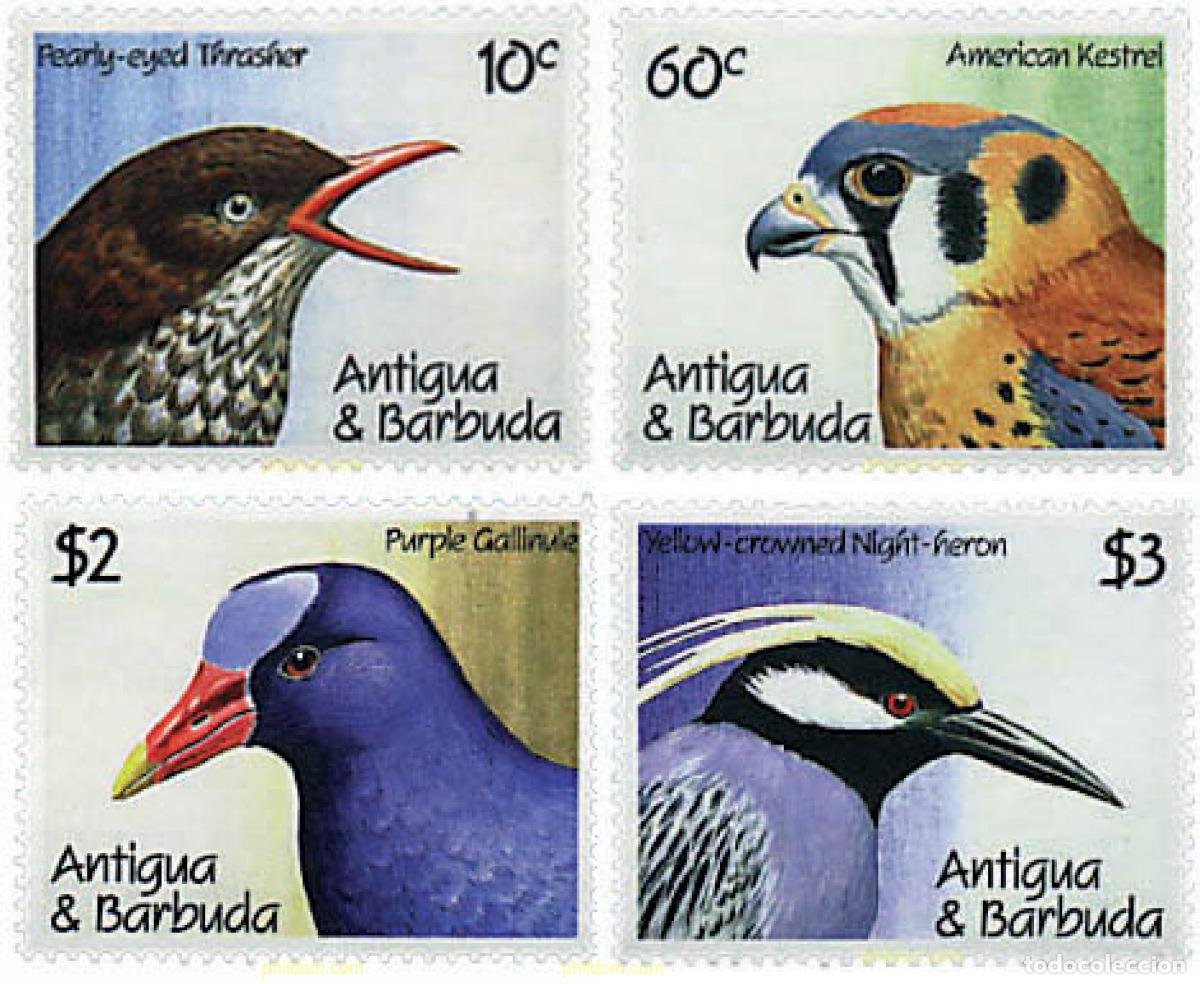 Sellos: 286535 MNH ANTIGUA Y BARBUDA 1990 AVES