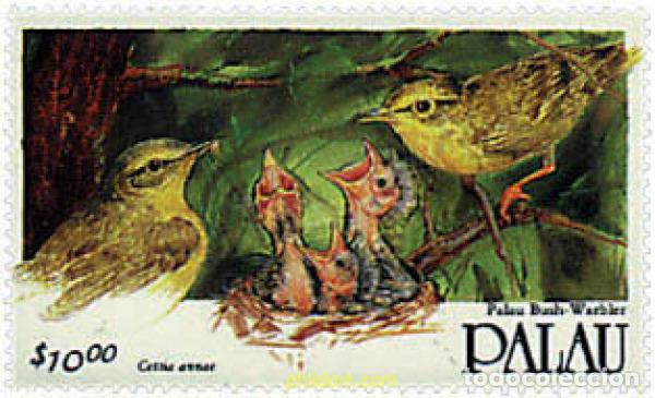 Sellos: 36903 MNH PALAU 1992 AVES - Foto 1