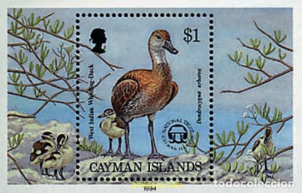 Sellos: 32845 MNH CAIMAN Islas 1994 FAUNA PROTEGIDA. ANADE SILBON