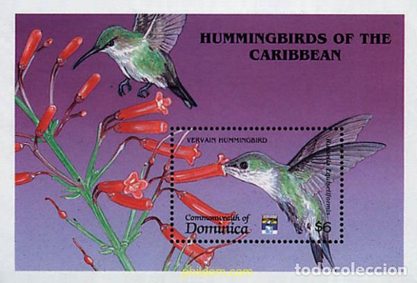 Sellos: 302216 MNH DOMINICA 1992 COLIBRIS DE DOMINICA