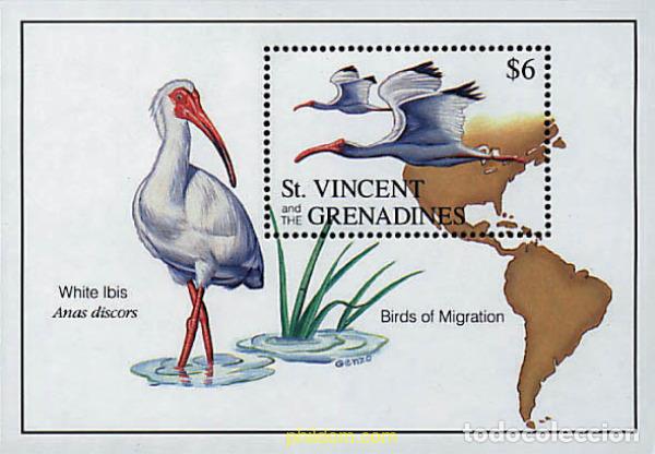 Sellos: 243088 MNH SAN VICENTE 1993 AVES MIGRATORIAS