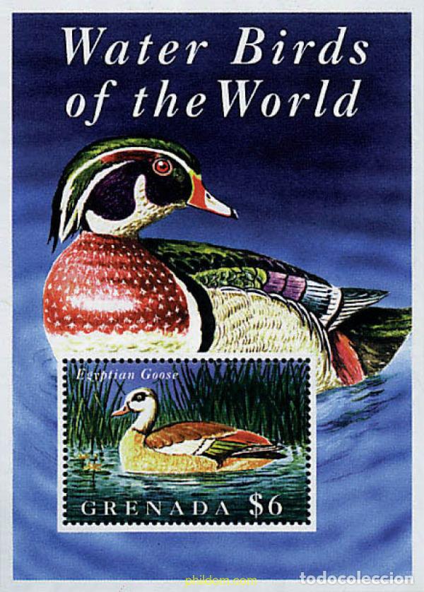 Sellos: 319595 MNH GRANADA 1995 PATOS - Foto 1
